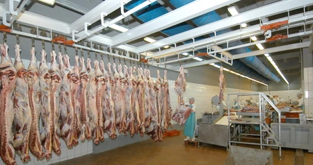 Дезинсекция на мясокомбинате в Пущино, цены на услуги