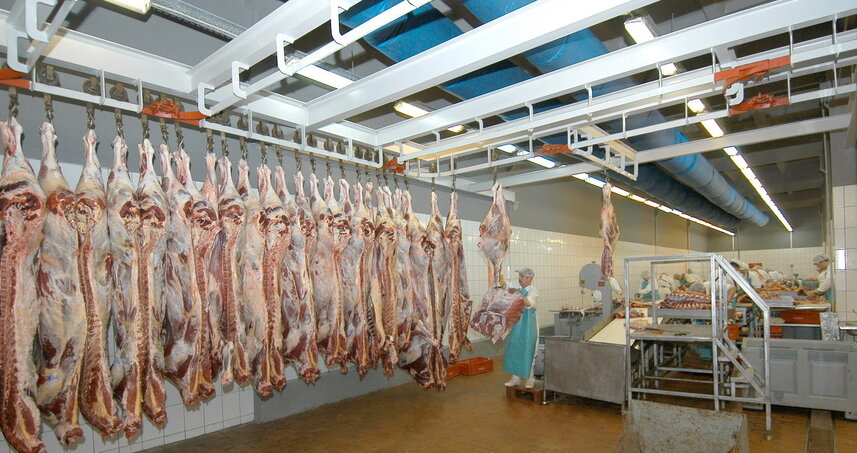 Дезинсекция на мясокомбинате в Пущино, цены на услуги